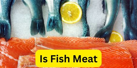 is fish meat or not